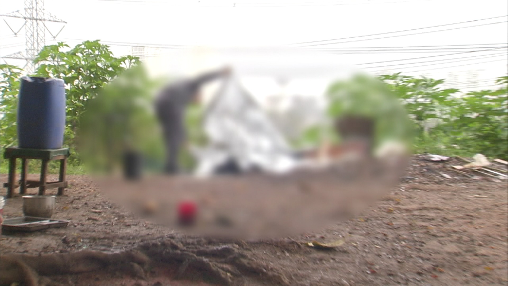 Homens são encontrados mortos a tiros e pauladas na Zona Sul de SP