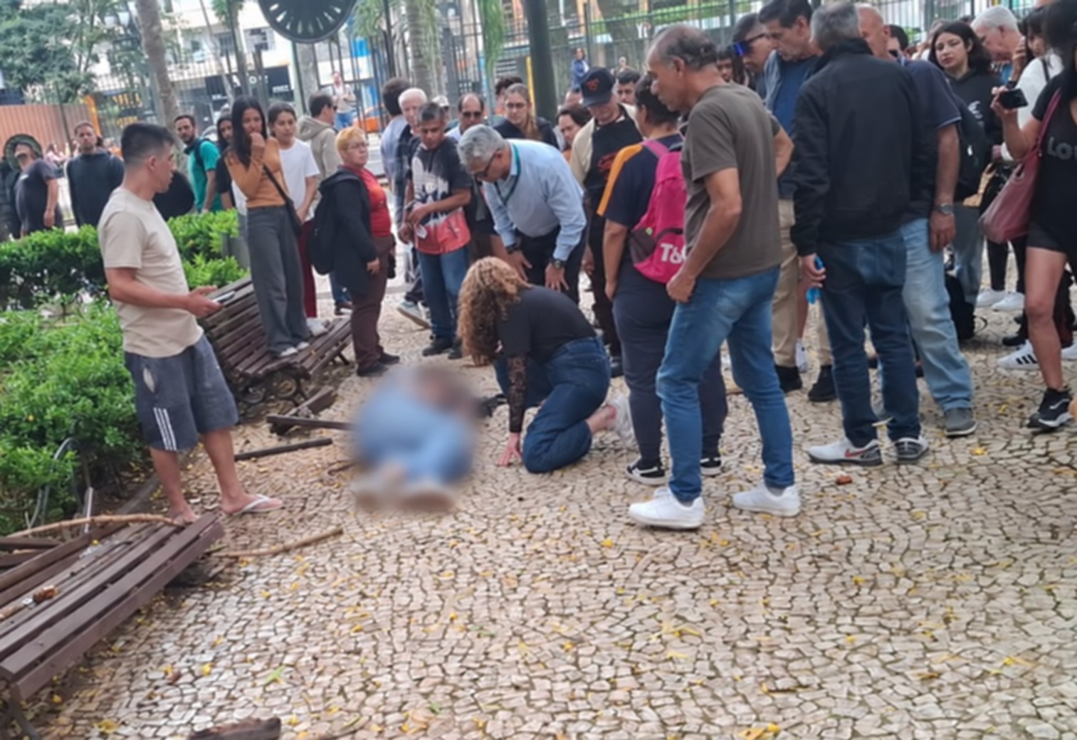 Homem é atingido por galho de árvore na Praça Osório, em Curitiba